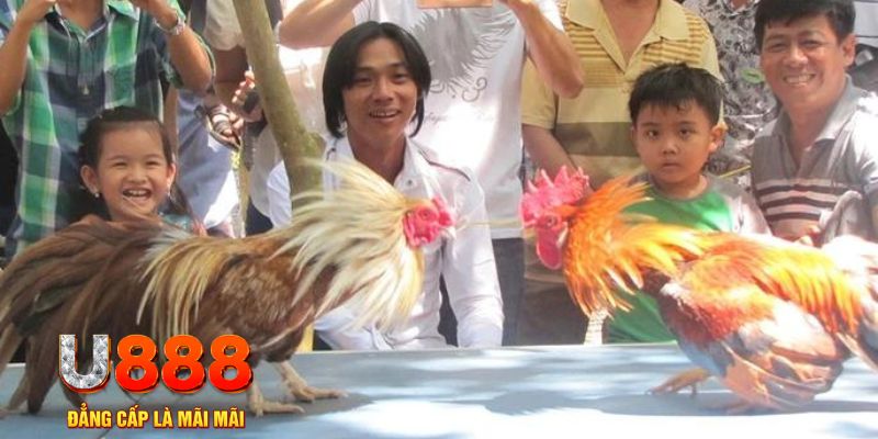 w88 link casino Đăng ký